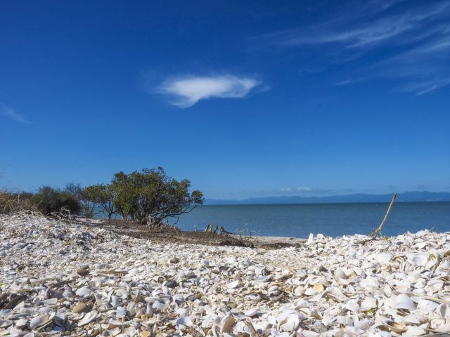 Firth of Thames - Landscape Photography Auckland
