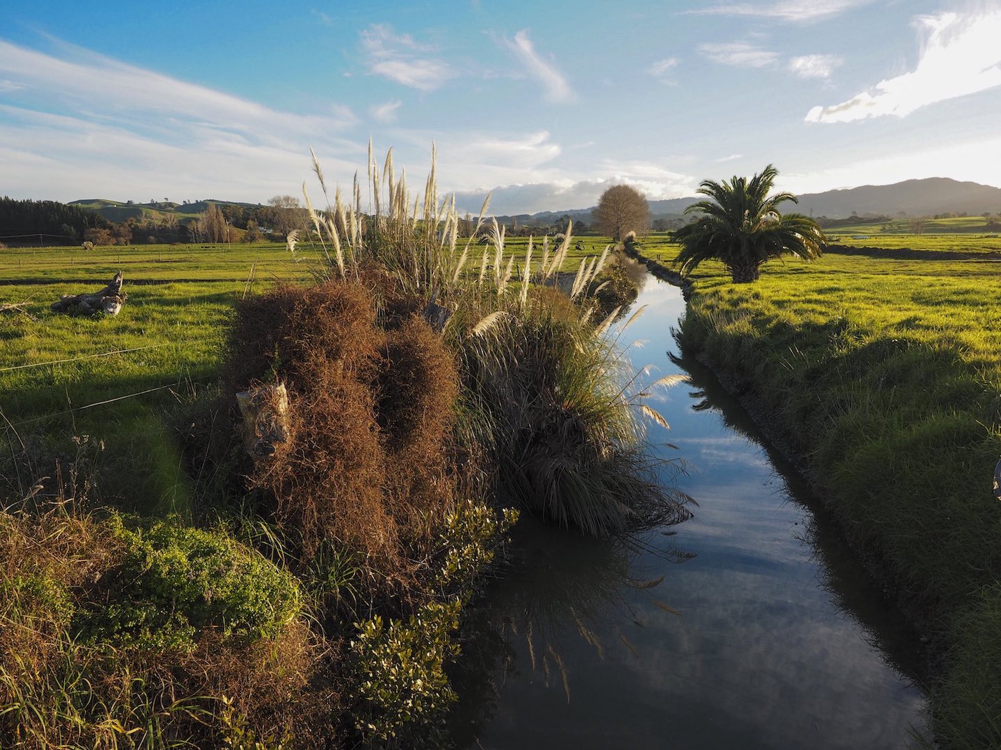 hunua-ranges-landscape