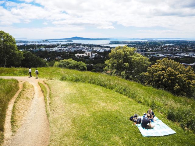 mt-eden-picnic