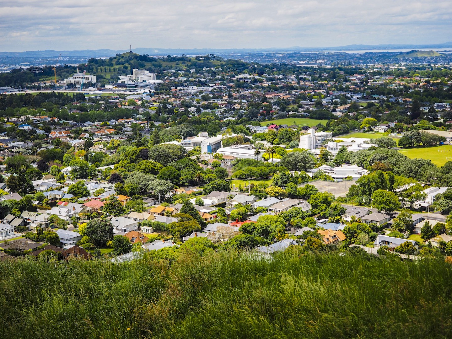 Mount Eden View – Aucklife