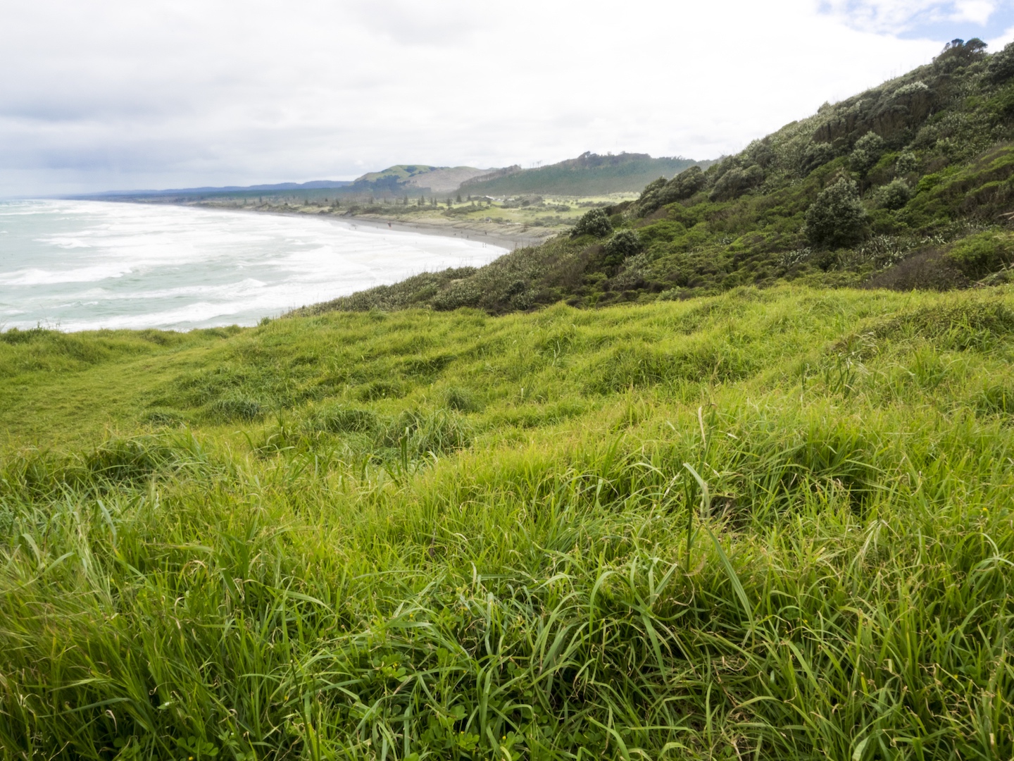 muriwai-green-hills