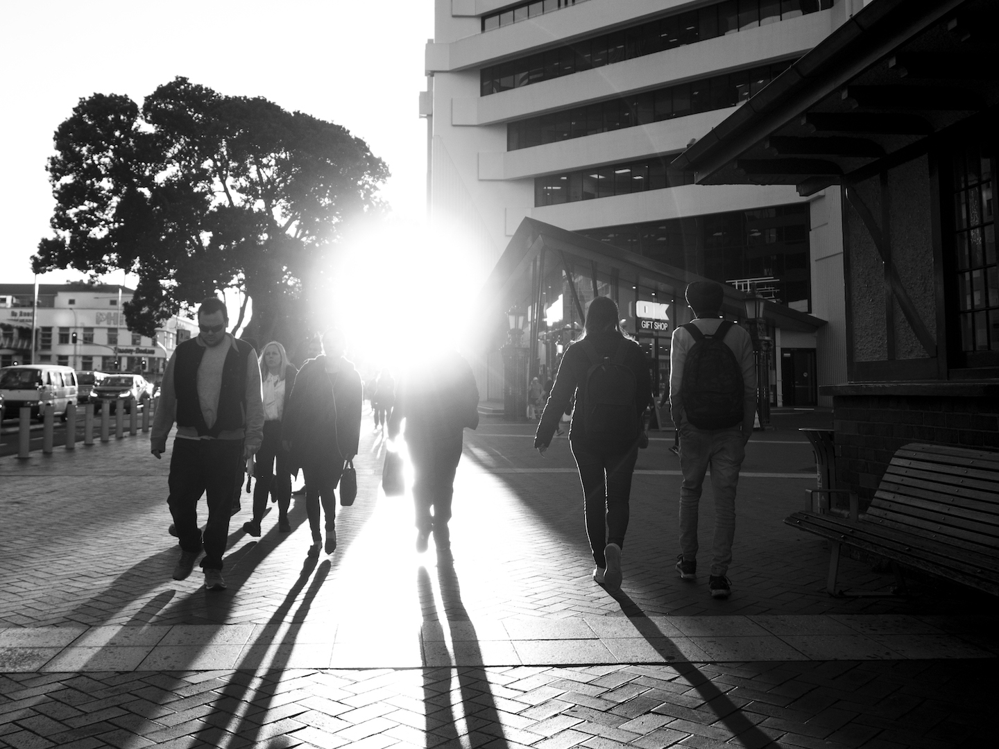 Sunset & Shadows Street Photography Auckland