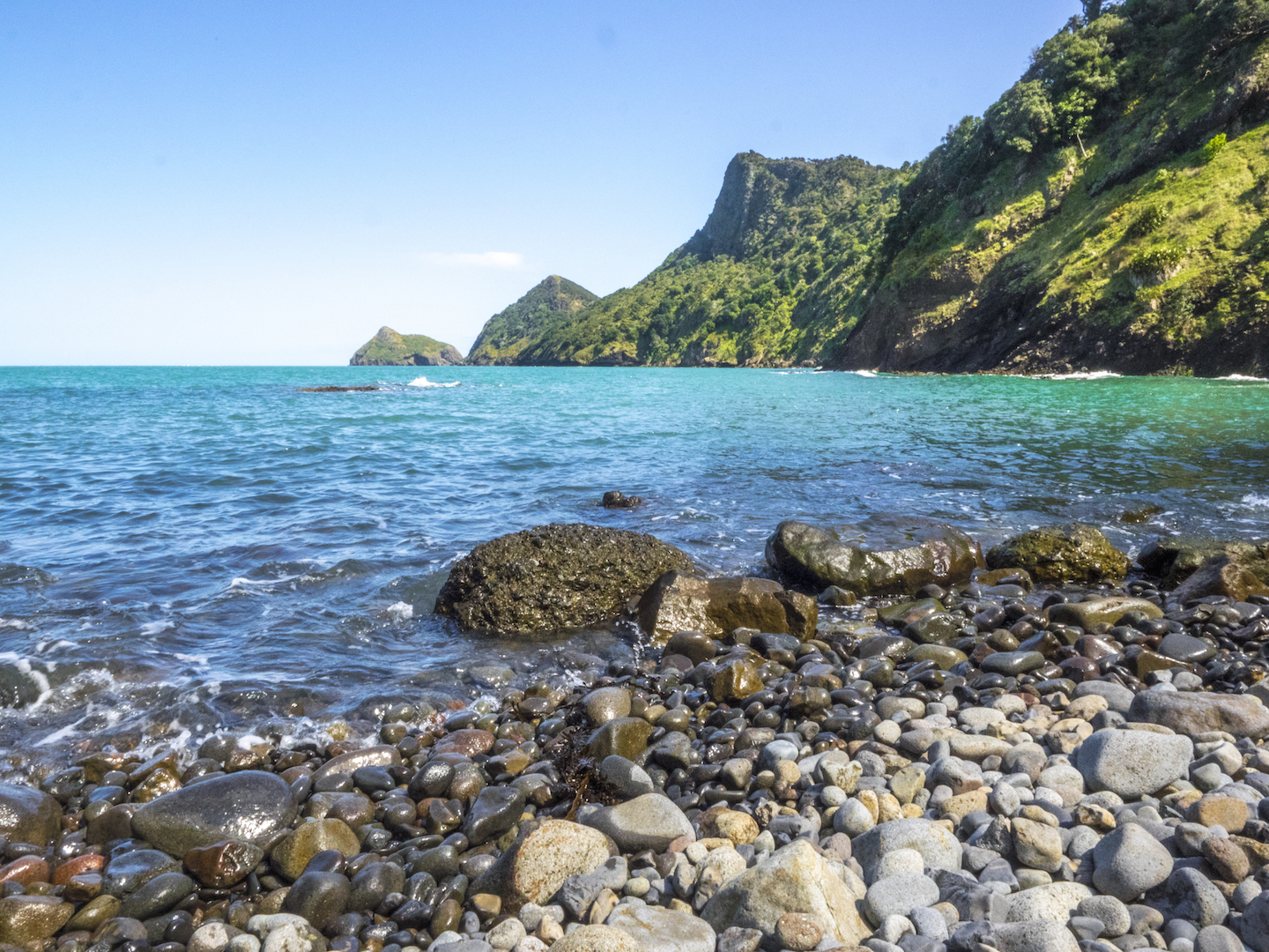 Makaka Bay Beach - Waitakere Ranges - Landscape Photography Auckland