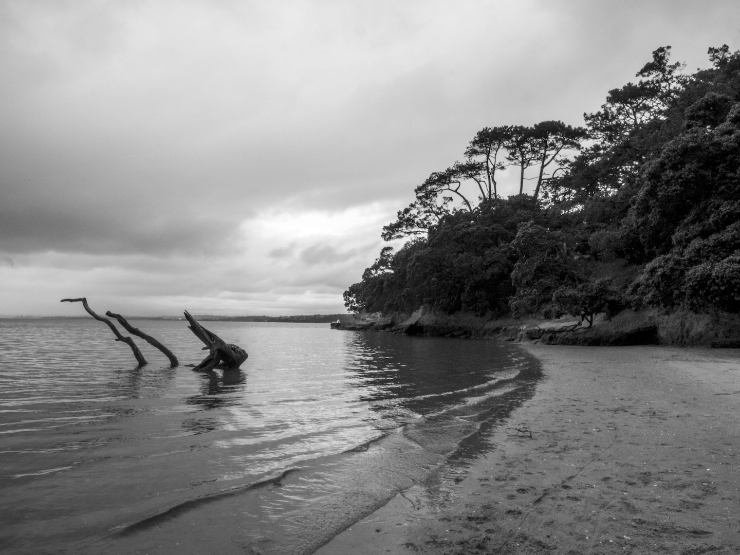 Pt Chevalier Beach - Landscape Photography Auckland