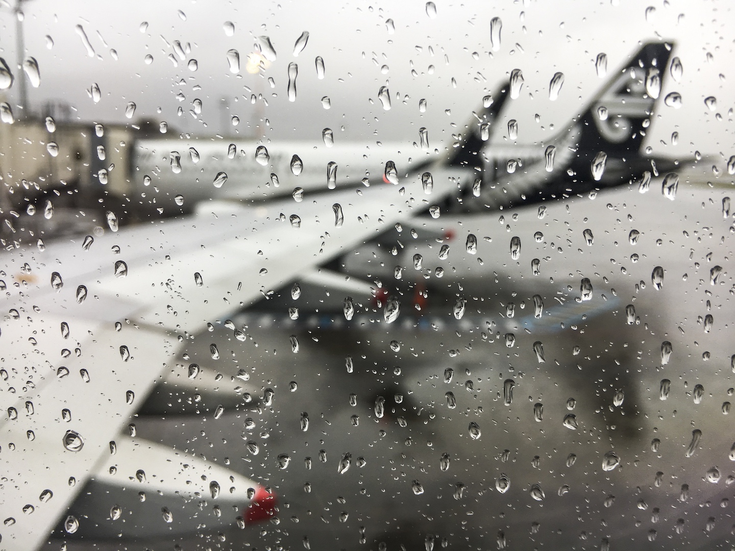 Raindrops - Airport Auckland Street Photography