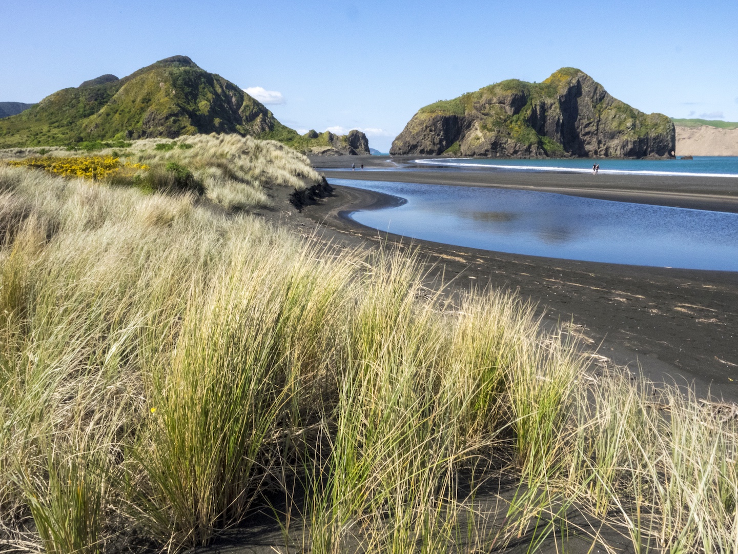Whatipu Beach Dunes - Landscape Photography Auckland