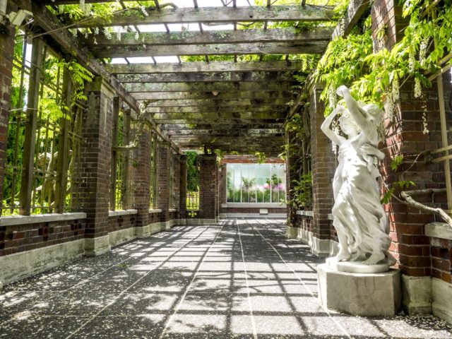 Auckland Domain Wintergardens - Street Photography Auckland