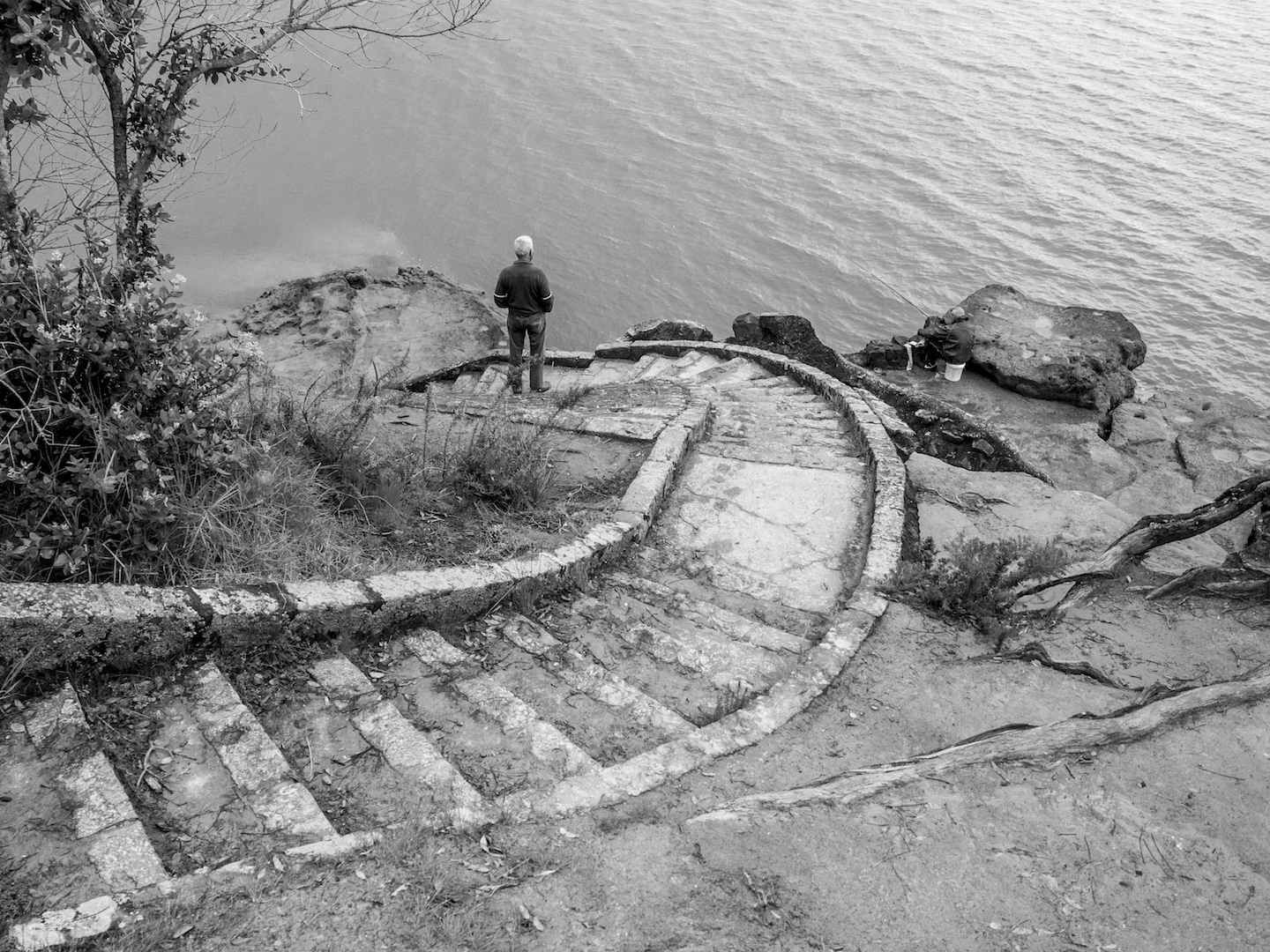 Coyle Park Point Chevalier - Street Photography Auckland