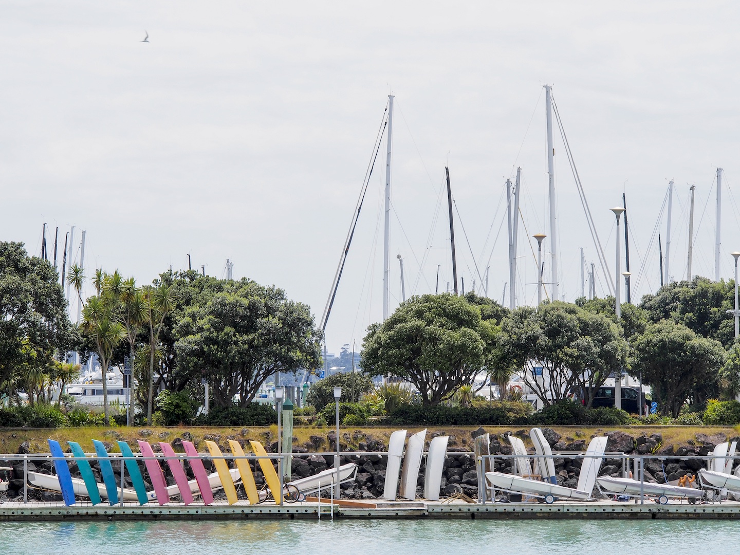 Westhaven Marina Boats - Street Photography Auckland