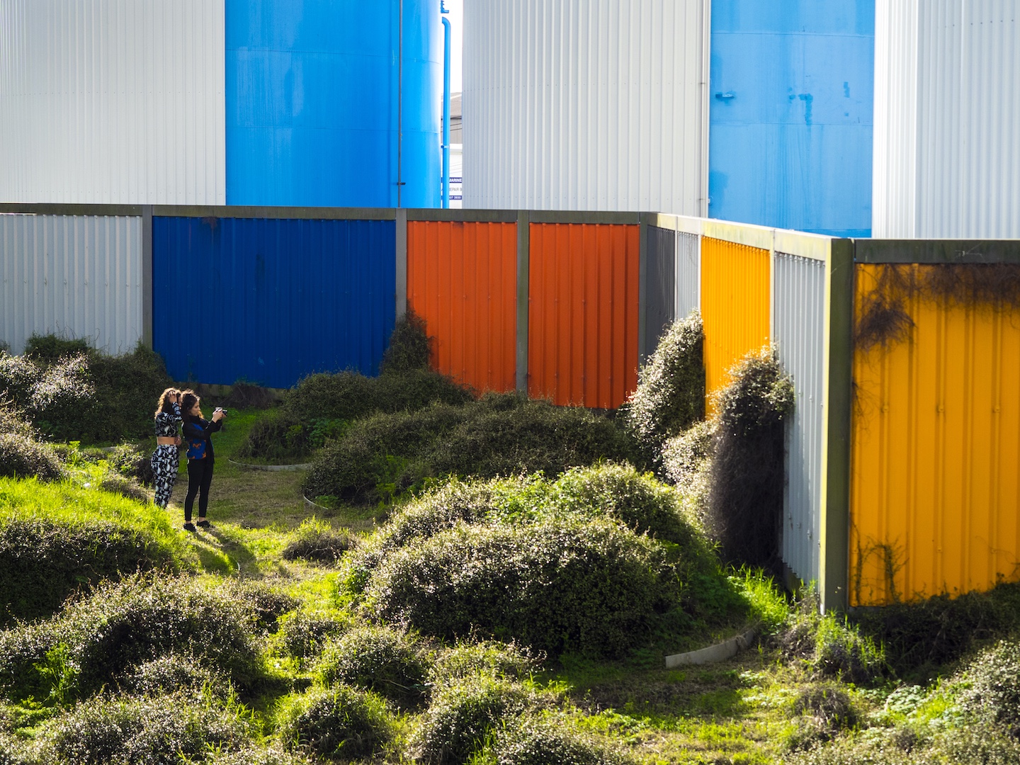 Wynyard Quarter Silo Park - Street Photography Auckland