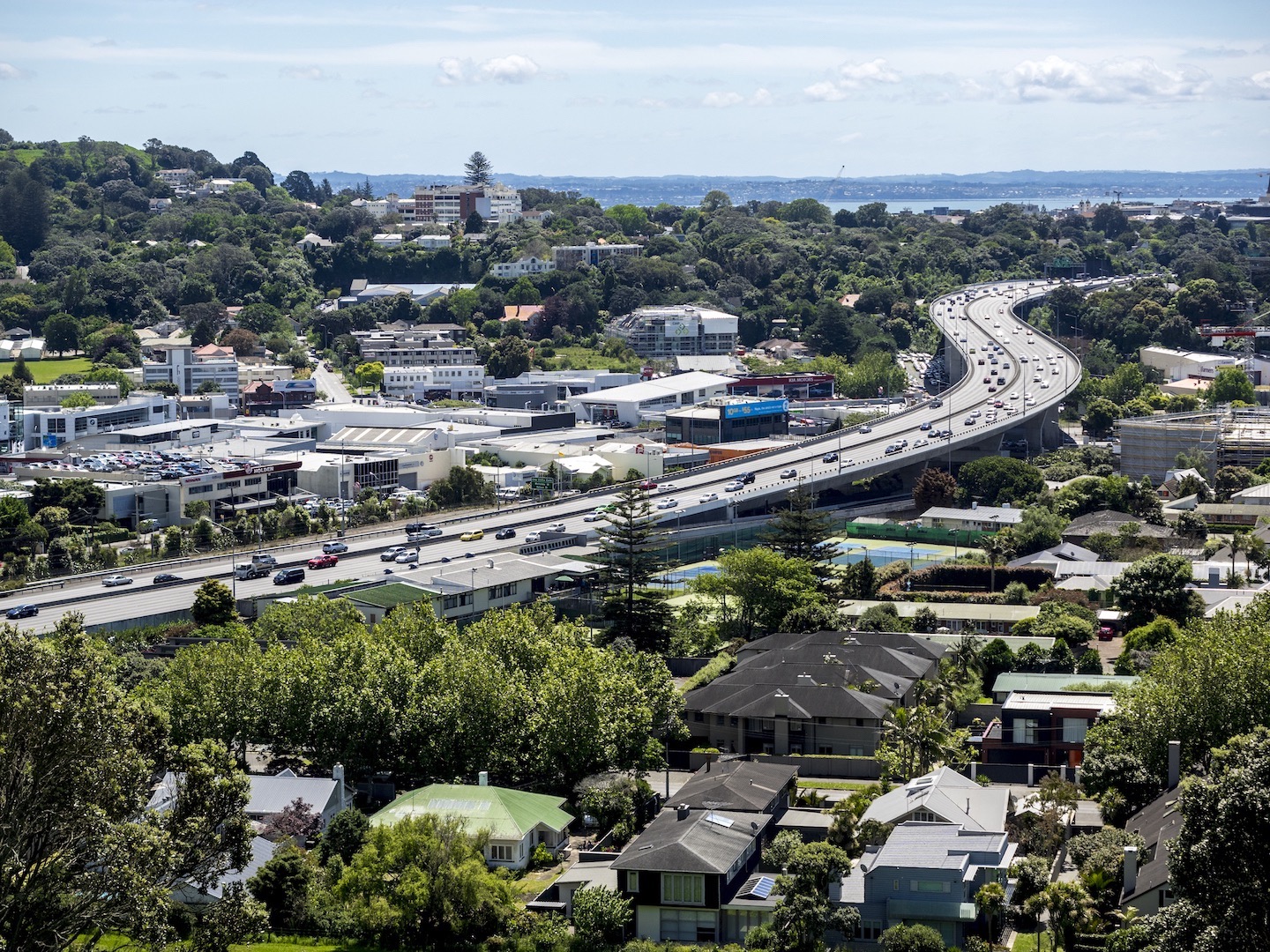 Mt Hobson - Newmarket View