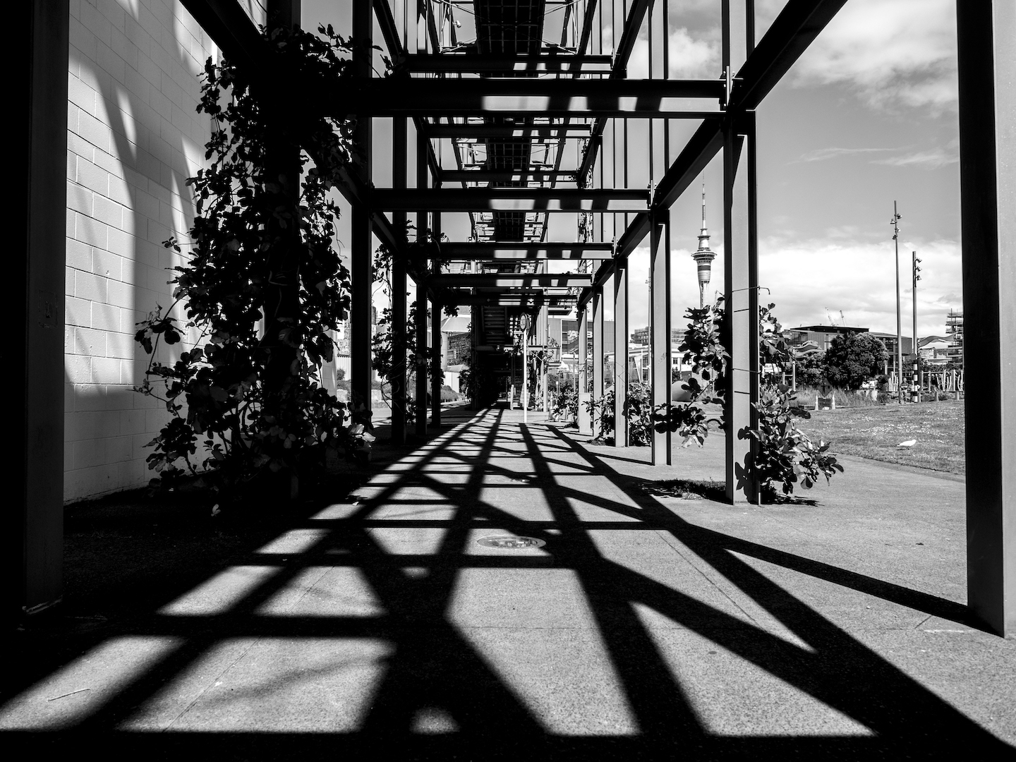 Silo Park Shadows - Wynyard Quarter Auckland