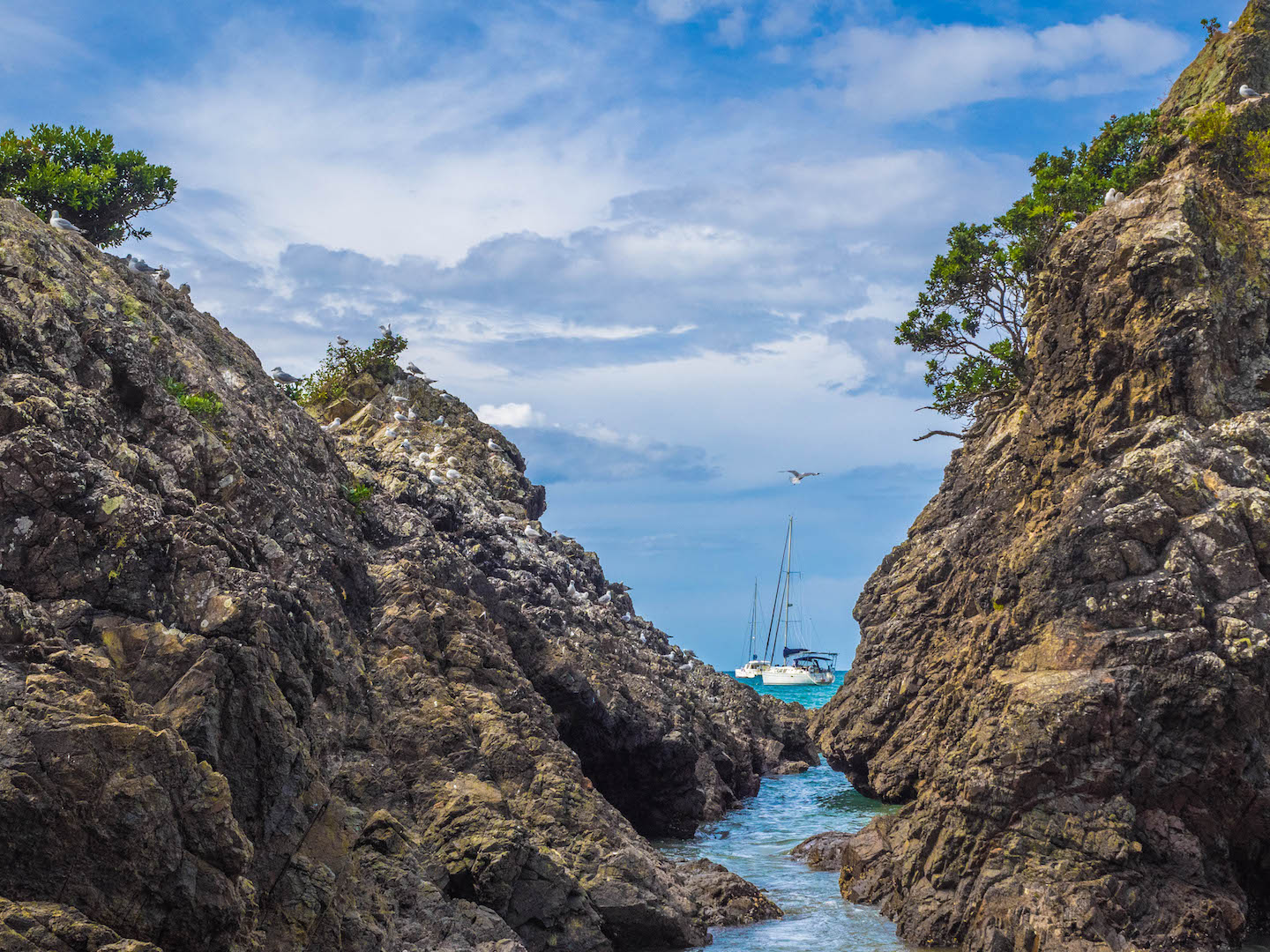 Oneroa Bay Waiheke Island - Auckland New Zealand