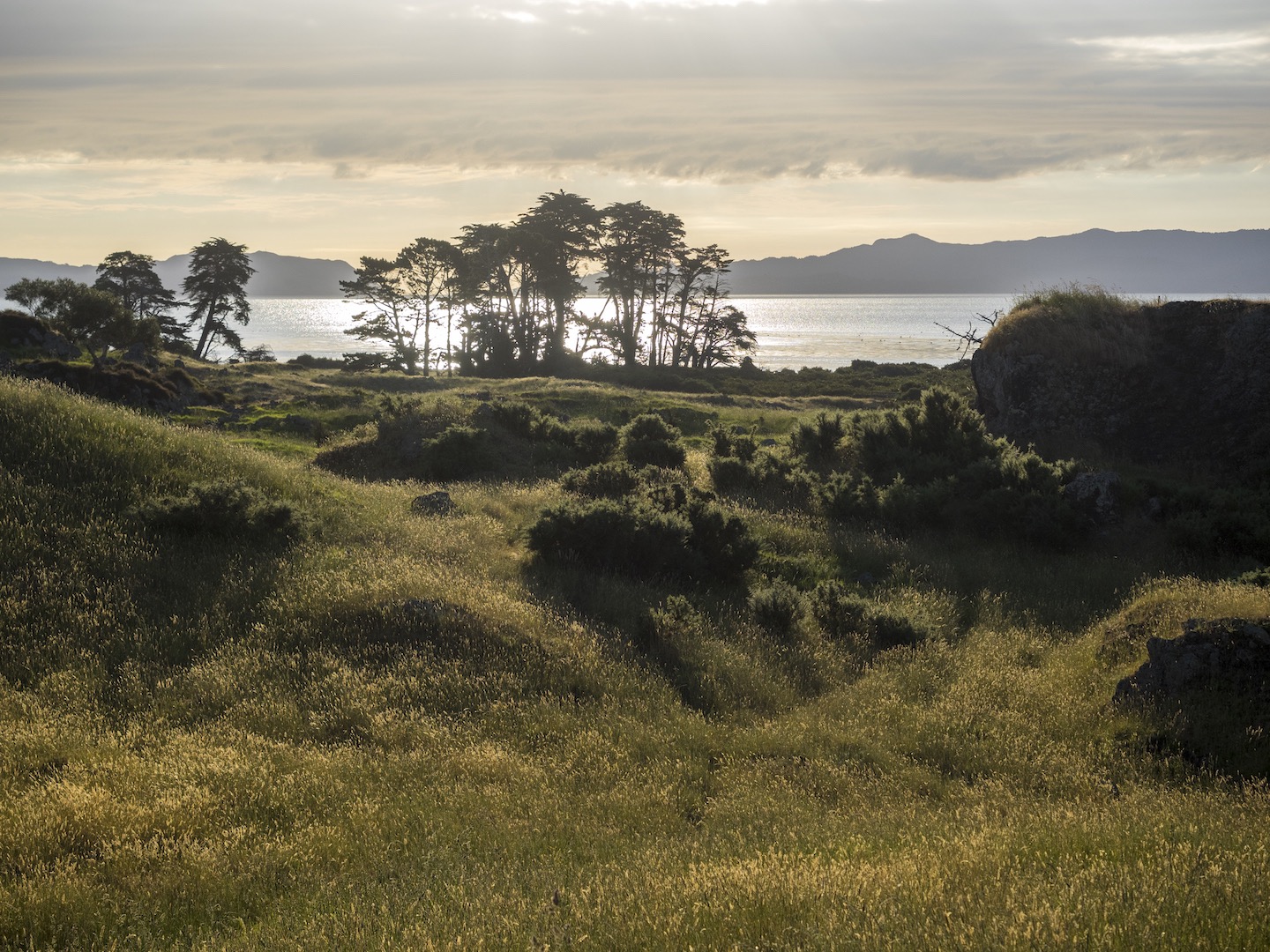 Otuataua Stonefields Sunset - South Auckland