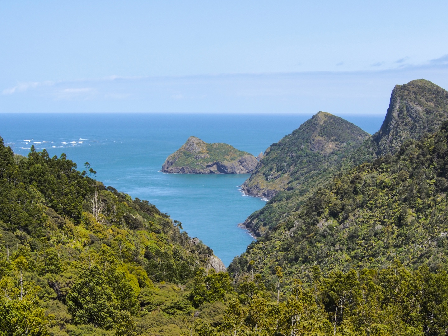 Makaka Bay Waitakere Ranges - West Auckland Landscape Photography