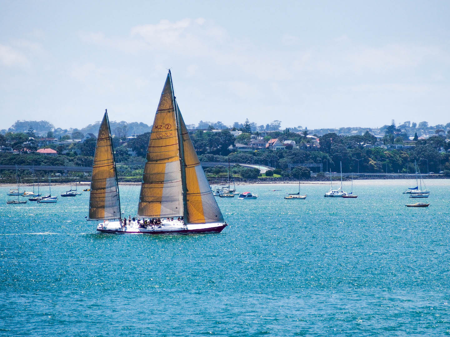 Shoal Bay Sailing - Auckland Street Photography