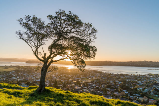 Mangere Domain View - South Auckland