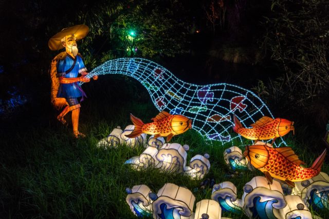 Auckland Lantern Festival Fisherman
