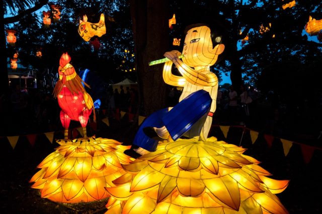 Auckland Lantern Festival Piper