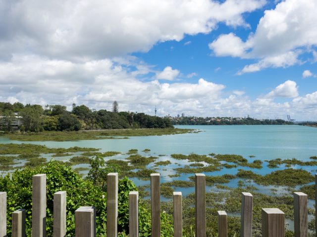 Auckland Sky Tower - Street Photography