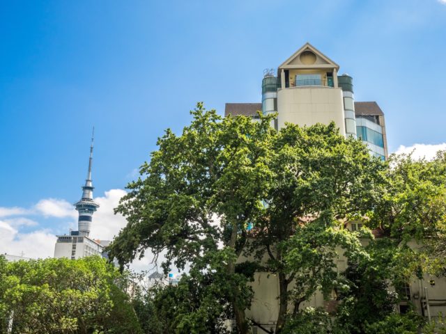 Auckland Sky Tower - Street Photography