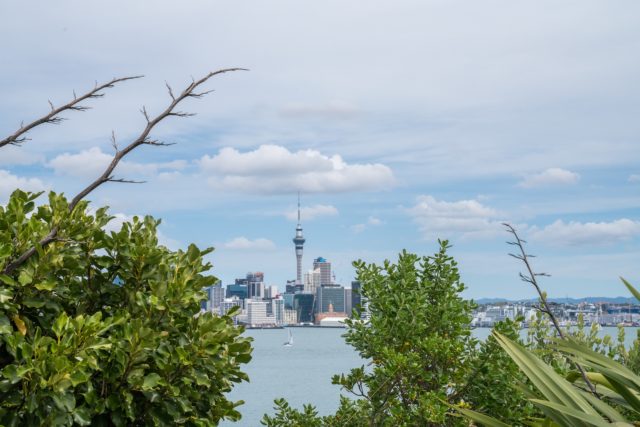 Auckland Sky Tower - Street Photography