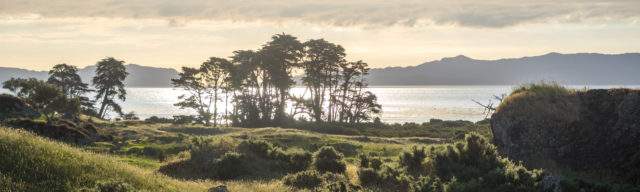 Otuataua Stonefields South Auckland - Landscape Photography Aucklife