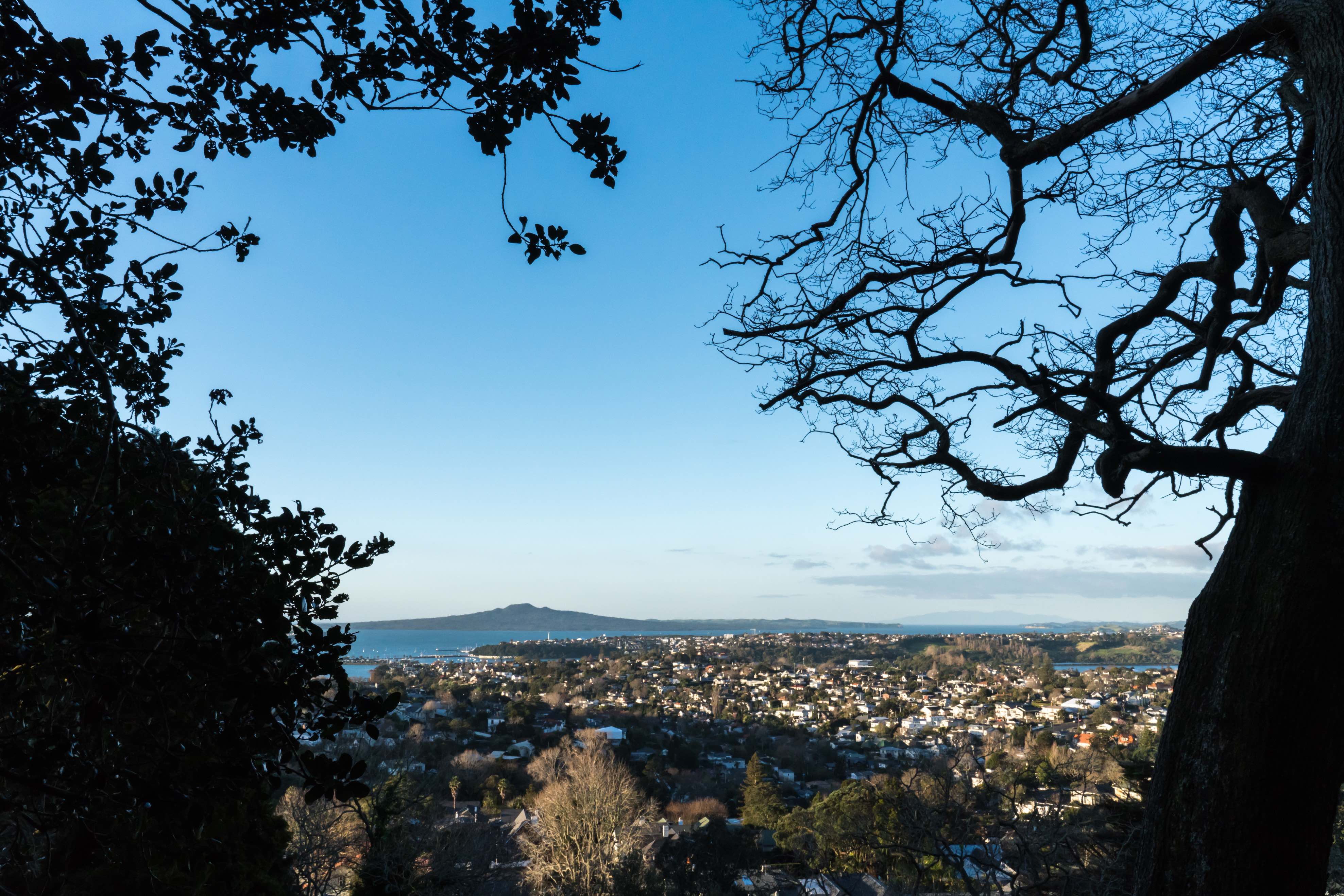 Good Night Remuera - Street Photography Auckland