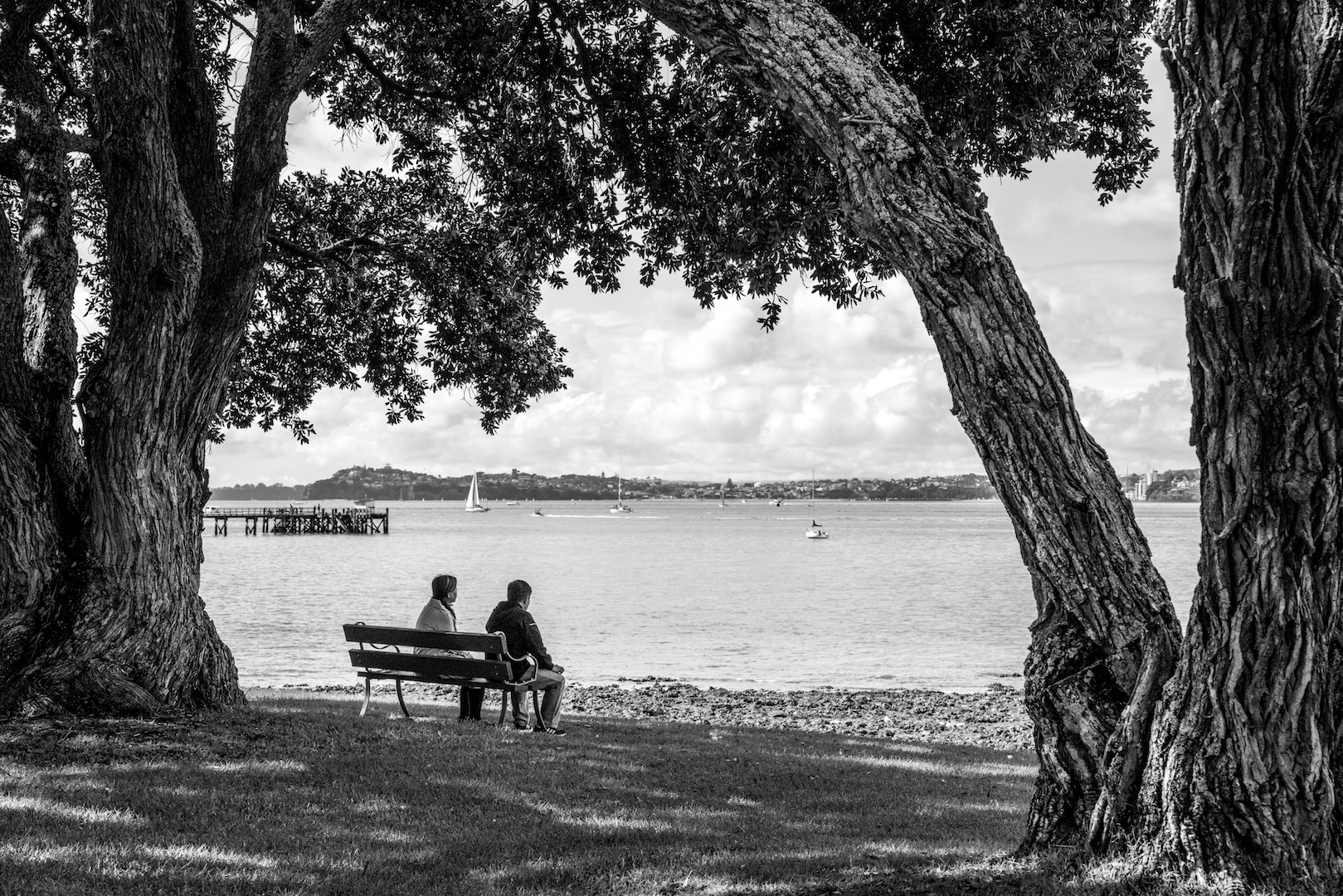 People looking at the Ocean at King Edward Parade, Devonport, Auckland Street Photography