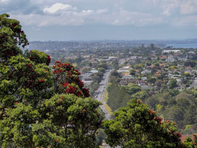 Victoria Road from Mt Victoria Devonport - Auckland Street Photography