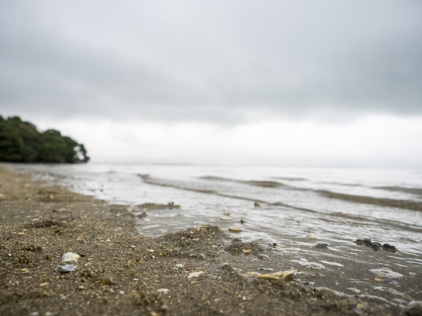Rainy Day at Point Chevalier - Street Photography Auckland