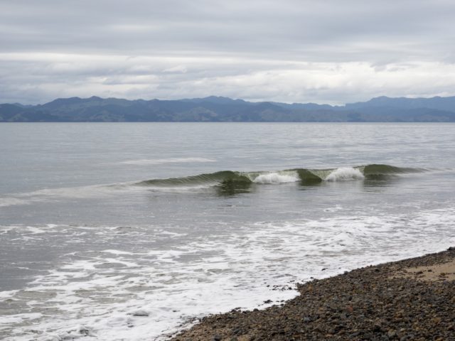 Tapapakanga Regional Park Firth of Thames Waves