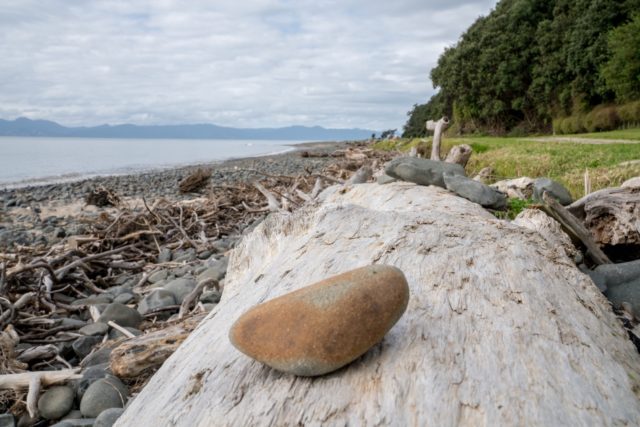 Tapapakanga Regional Park Pebbles