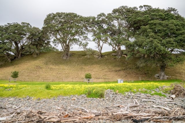 Tapapakanga Regional Park BBQ Station