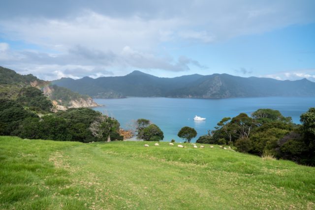 Blind Bay on Aotea Great Barrier Island