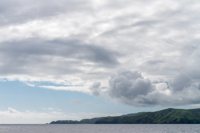 Coromandel Coast Line from On Sealink Ferry to Aotea Great Barrier Island Ferry
