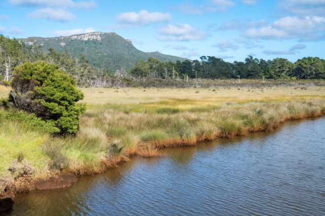 Kaitoke Creek on Aotea Great Barrier Island