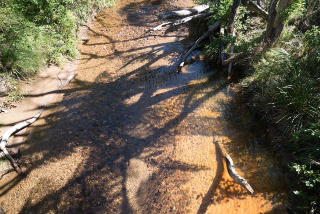 Kaitoke Hot Springs Creek on Aotea Great Barrier Island