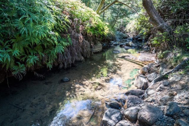 Kaitoke Hot Springs on Great Barrier Island, Aotea