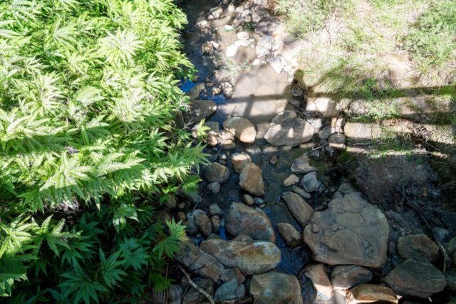 Kaitoke Hot Springs on Great Barrier Island, Aotea