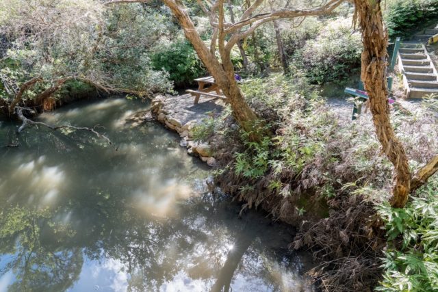 Kaitoke Hot Springs on Great Barrier Island, Aotea