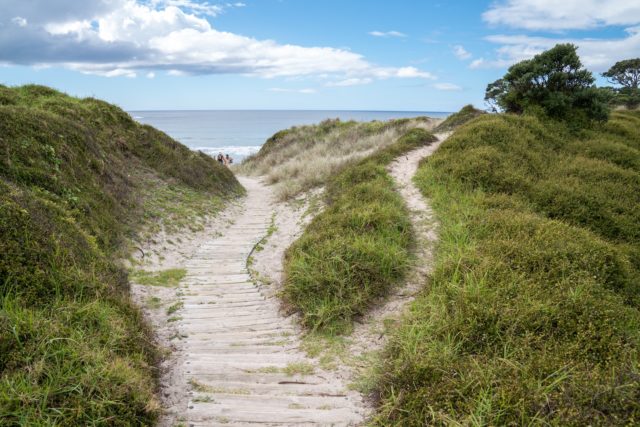 Medlands Beach Access on Aotea Great Barrier Island