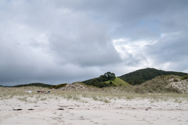 Dunes at Medlands Beach on Aotea Great Barrier Island