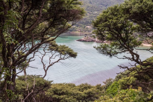 Okupu Bay on Aotea Great Barrier Island