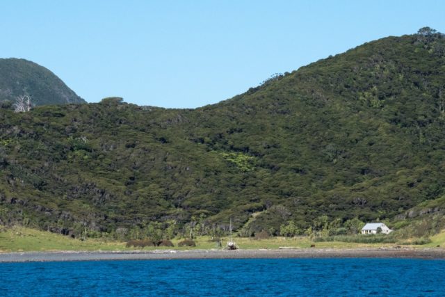 Sealink Ferry to Auckland from Great Barrier Island, Aotea