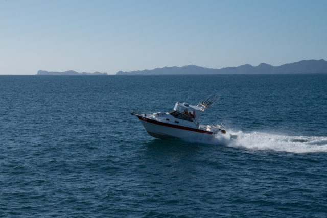 Sealink Ferry to Auckland from Great Barrier Island, Aotea