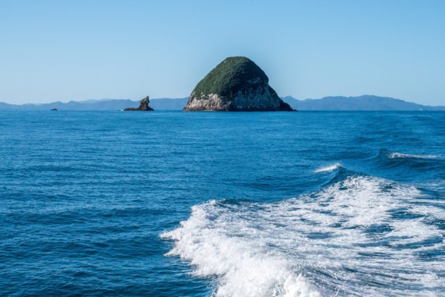 Sealink Ferry to Auckland from Aotea - Great Barrier Island