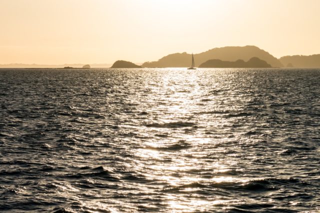 Sunset on the Sealink Ferry to Auckland from Aotea - Great Barrier Island