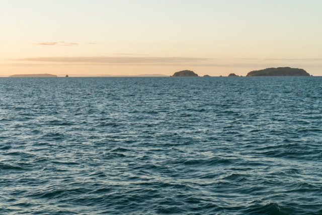 Sunset on the Sealink Ferry to Auckland from Aotea - Great Barrier Island