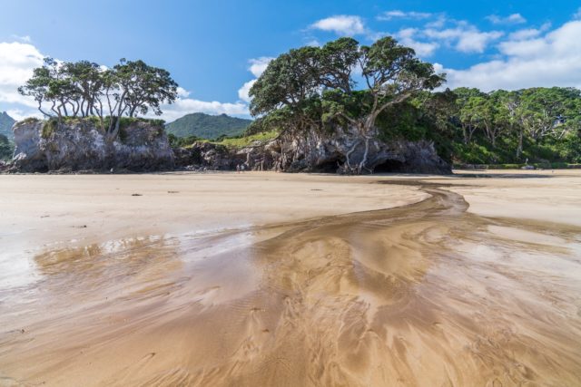 Low Tide at Tryphena Beach on Great Barrier Island, Aotea